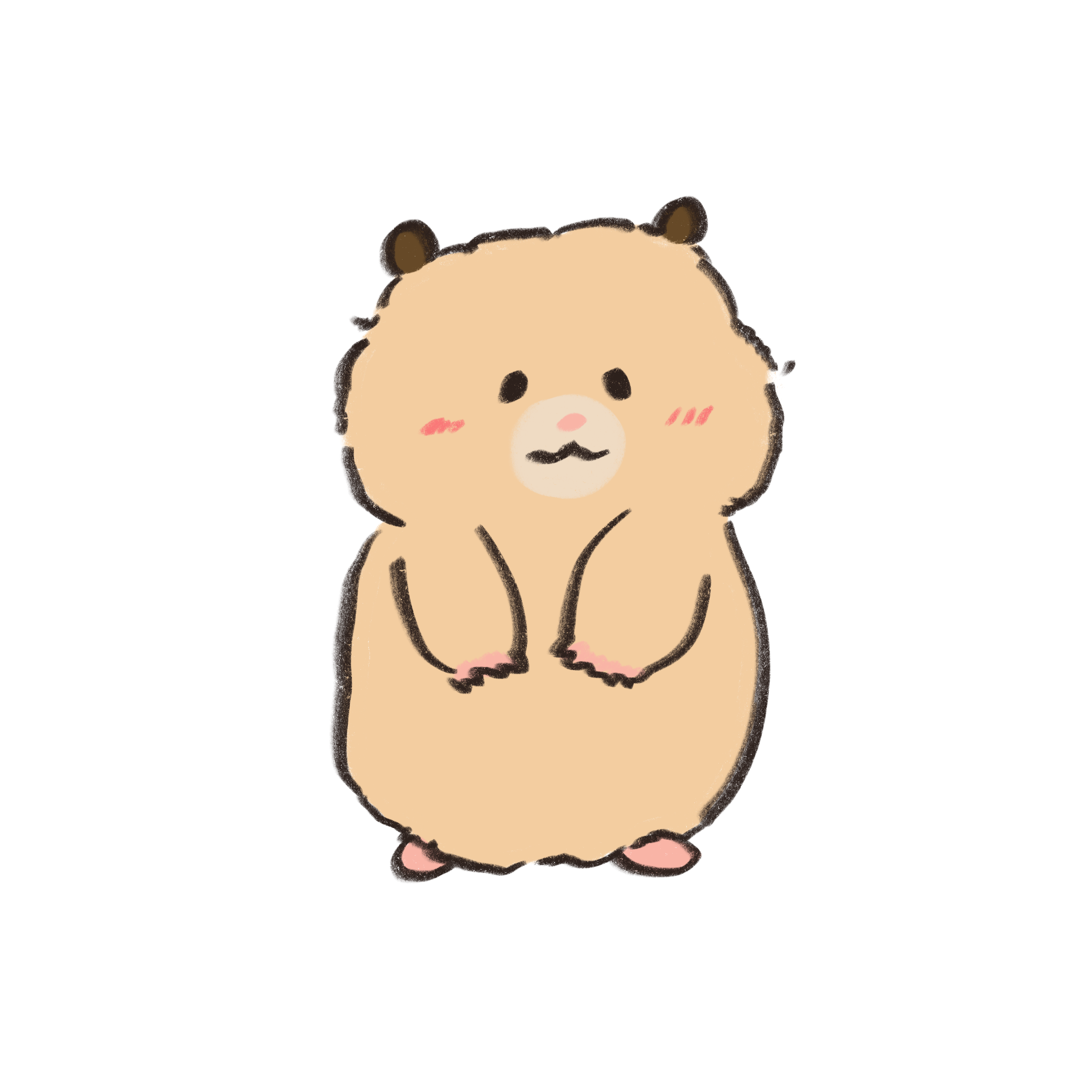 Hamster
